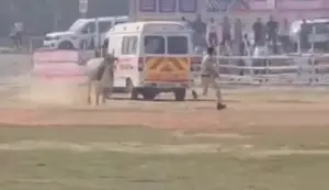 నితీష్ కుమార్ పర్యటనలో భద్రతా లోపం.. హెలిప్యాడ్‌లోకి దూసుకెళ్లిన ఆవు!