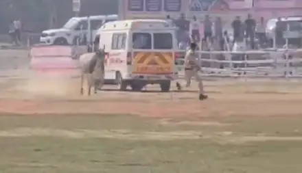 నితీష్ కుమార్ పర్యటనలో భద్రతా లోపం.. హెలిప్యాడ్‌లోకి దూసుకెళ్లిన ఆవు!