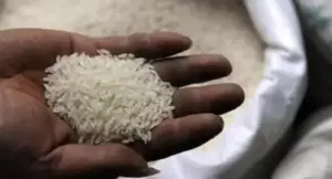 తెలంగాణలో ధాన్యం ధరల పతనం