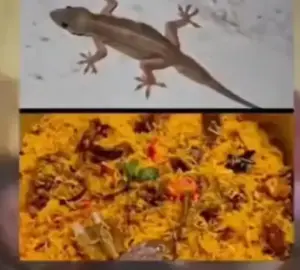 బిర్యానీలో బల్లి.. ఆ తర్వాత ఏం జరిగిందంటే?