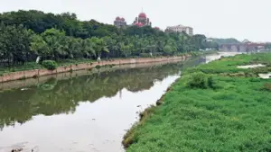 కాలుష్యం నుంచి స్వచ్చత వైపు మూసీ రివర్