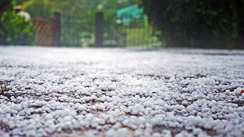 అకాల వర్షాలు.. అరకులో వడగండ్ల వాన