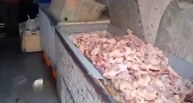 Chicken Seized in Secunderabad: హైదరాబాద్‌లో 800 కిలోల కుళ్ళిన చికెన్ పట్టివేత