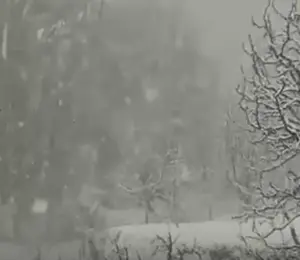 మంచు గుప్పిట్లో కాశ్మీర్ లోయ