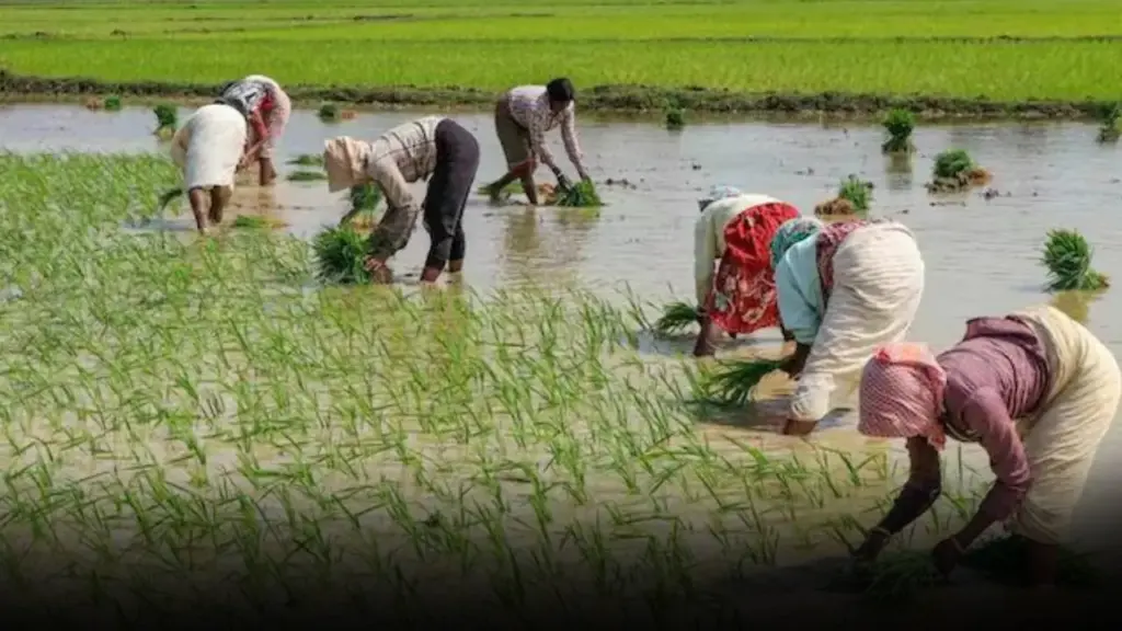 Rythu Bharosa New Applications: Apply for Rythu Bharosa