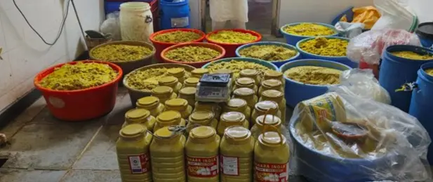 Adulterated Ginger Garlic Paste: Huge adulteration racket busted in Khairatabad!