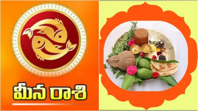 Meena Rasi Phalalu 2026: మీనరాశి సంవత్సర ఫలము 2026-2027