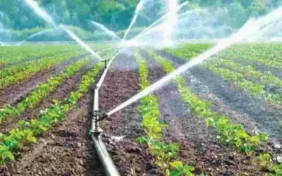 AP Micro Irrigation Subsidy: వారికి 100 శాతం రాయితీతో డ్రిప్ పరికరాలు!