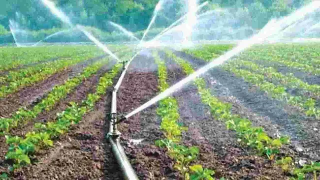 AP Micro Irrigation Subsidy