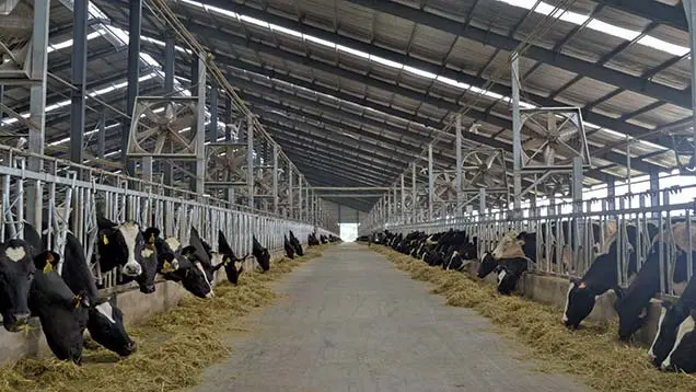 AP Govt: Waiver of charges for dairy and sheep farms