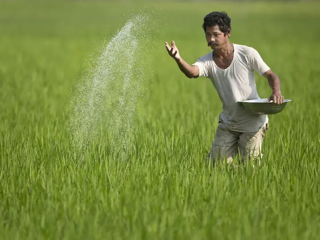 Farmer : మాటల్లో కాదు.. చేతల్లో చూపాలి!