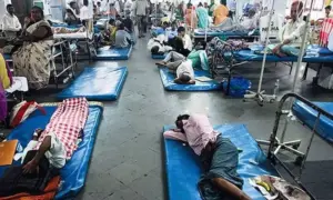 పతనం అంచున ప్రజారోగ్యం