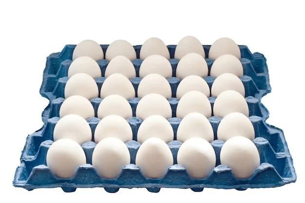 Telangana: Egg Prices Plummet as Exports Come to a Halt