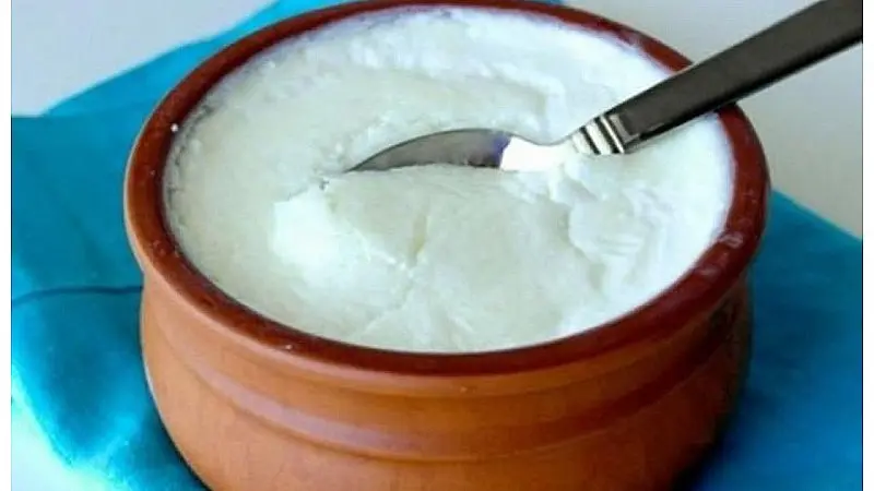 Adulterated Curd: Adulterated curd racket in Hyderabad.. 2,500 kg seized