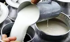 కల్తీ పాల ఘటనలో మరొకరు బలి 10కి చేరిన మరణాలు