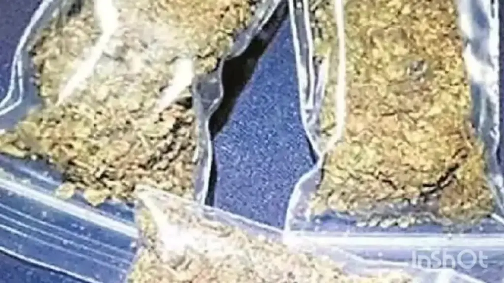 Chittoor District: కుప్పంలో గంజాయి స్వాధీనం 20 లక్షల  సరుకుతో 8 మంది అరెస్ట్