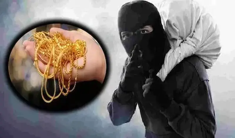 Hyderabad: పనిమనుషులుగా చేరి రూ.2 కోట్ల ఆభరణాలతో పరారైనా నేపాలీ జంట