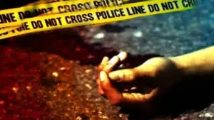 మద్యం మత్తులో ఉన్న అన్నను బండరాయితో కొట్టి చంపిన తమ్ముడు!