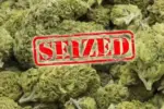 Ganja Seized Telangana: భద్రాద్రిలో భారీగా గంజాయి పట్టివేత