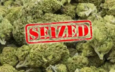 Ganja Seized Telangana: భద్రాద్రిలో భారీగా గంజాయి పట్టివేత