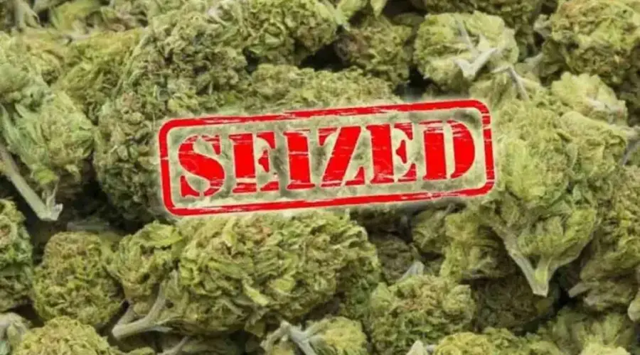 Ganja Seized Telangana: భద్రాద్రిలో భారీగా గంజాయి పట్టివేత