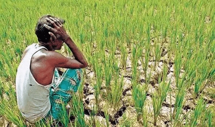 STragedy in Siddipet — Farmer Commits Suicide Due to Lack of Irrigation Water
