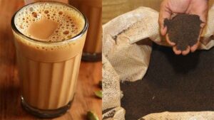 హైద్రాబాద్ లో నకిలీ టీ పౌడరు, సర్ఫ్‌ తయారు చేసే ముఠా అరెస్ట్