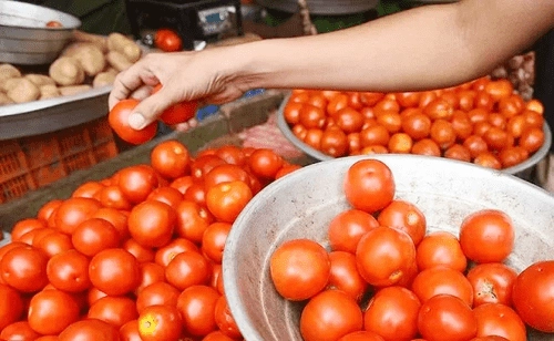 AP Tomato prices