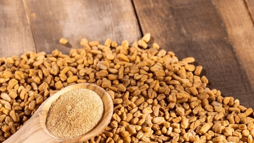Fenugreek benefits: గింజలు చిన్నవే.. కానీ, లాభాలు మాత్రం బోలెడు