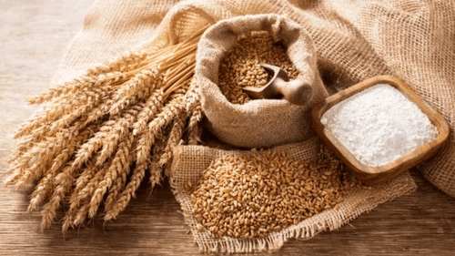 AP Government Schemes